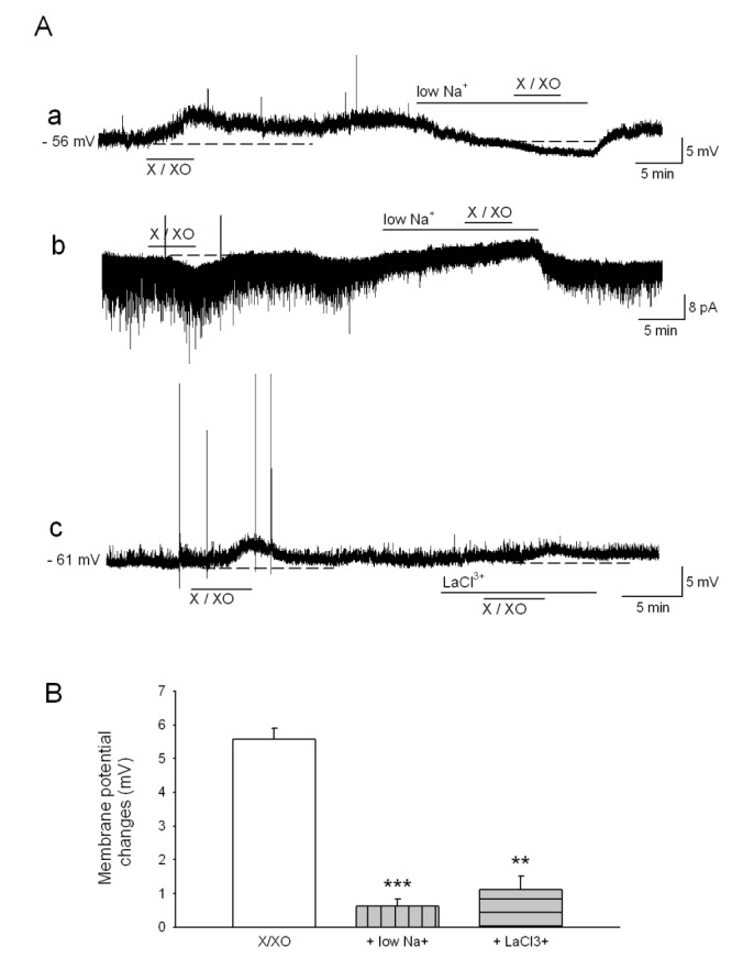 Fig. 5