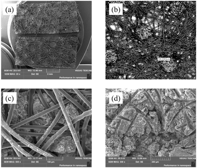 Fig. 16