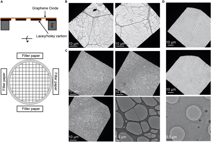 Figure 3