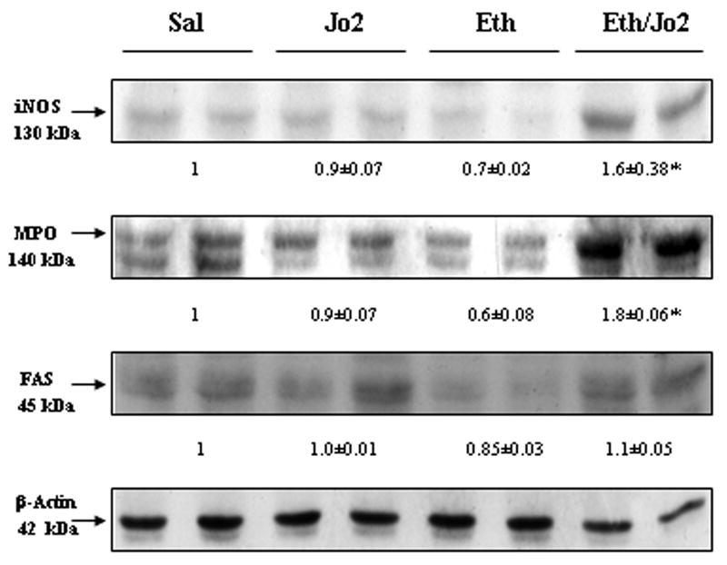 Fig.4