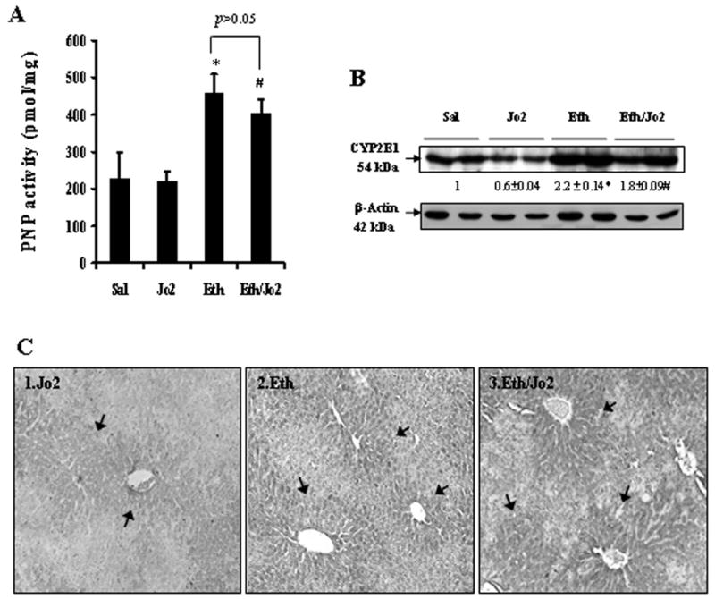 Fig.6