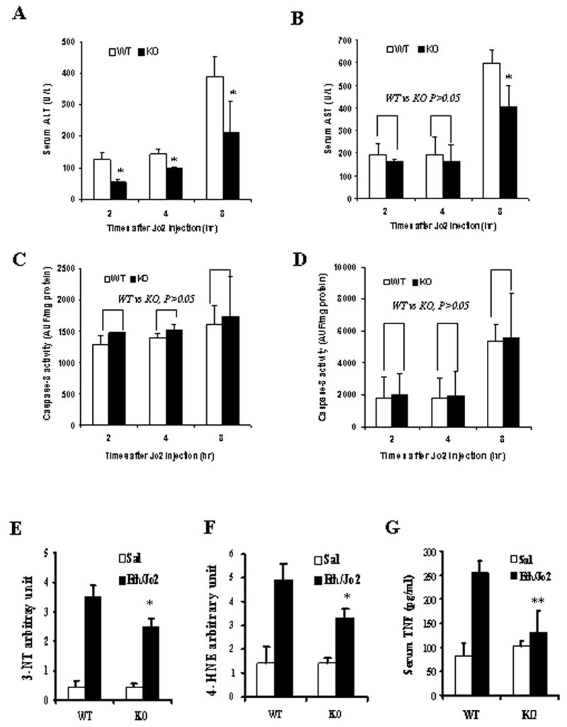 Fig.9