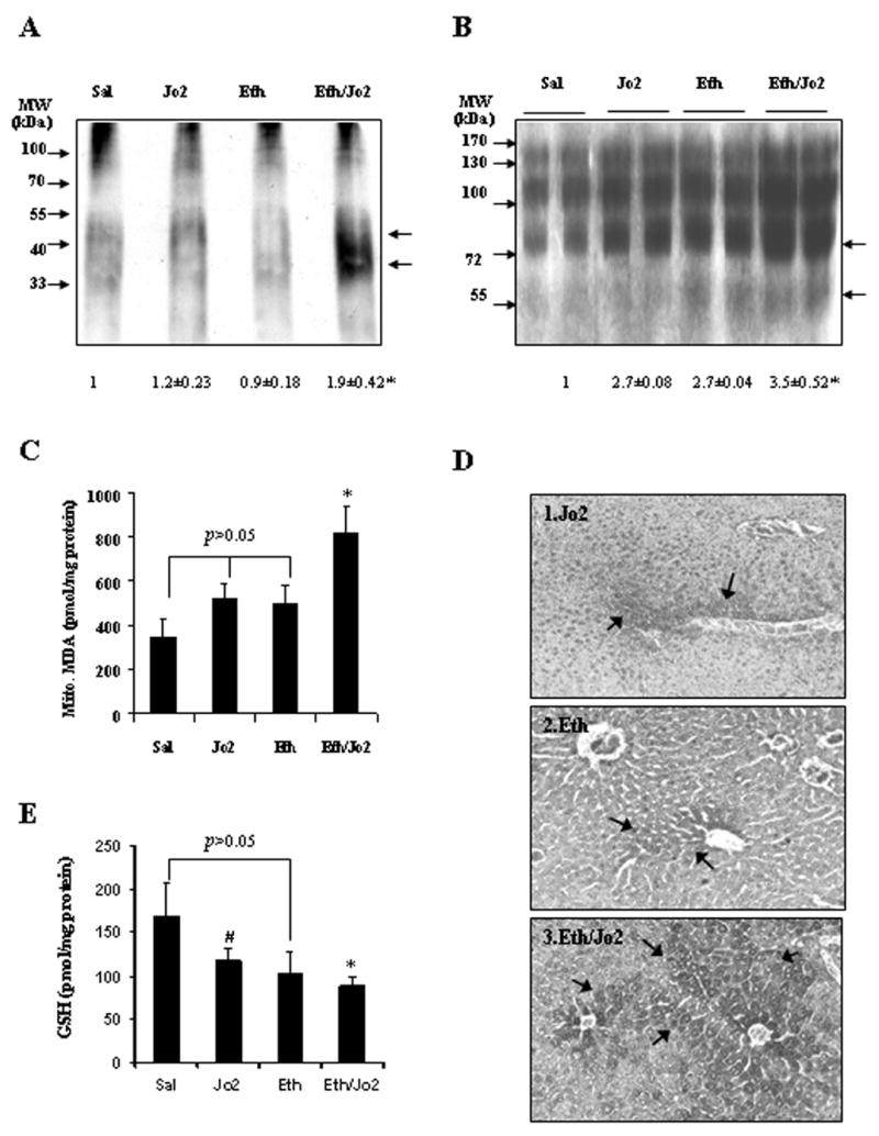 Fig.3