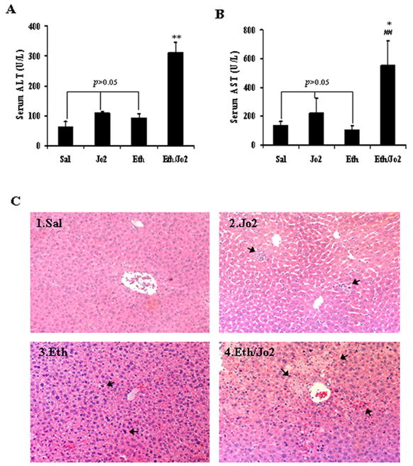 Fig.1