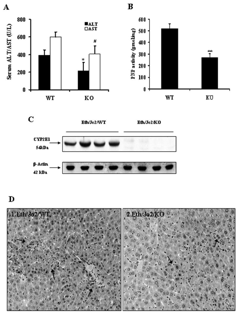 Fig.7