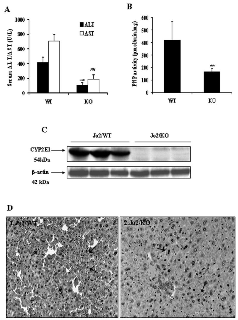 Fig.8