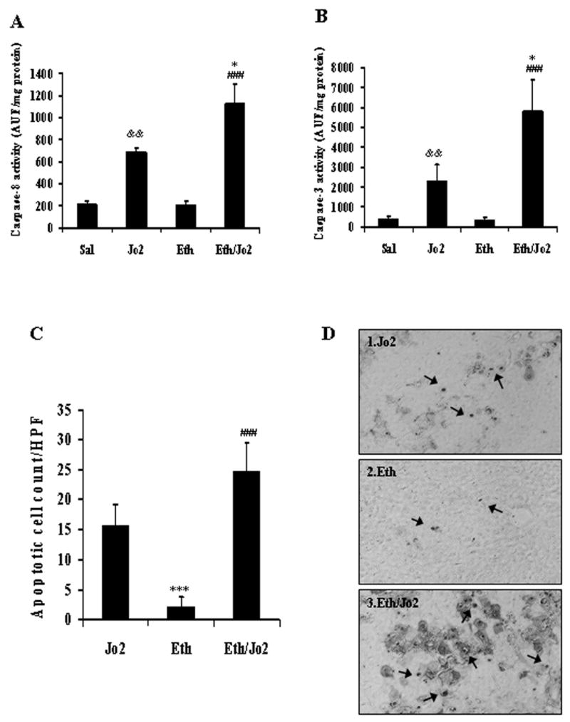 Fig.2