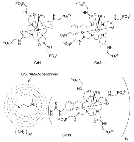 graphic file with name nihms108541f8.jpg