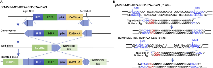 Figure 2
