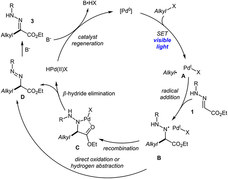 Scheme 4.