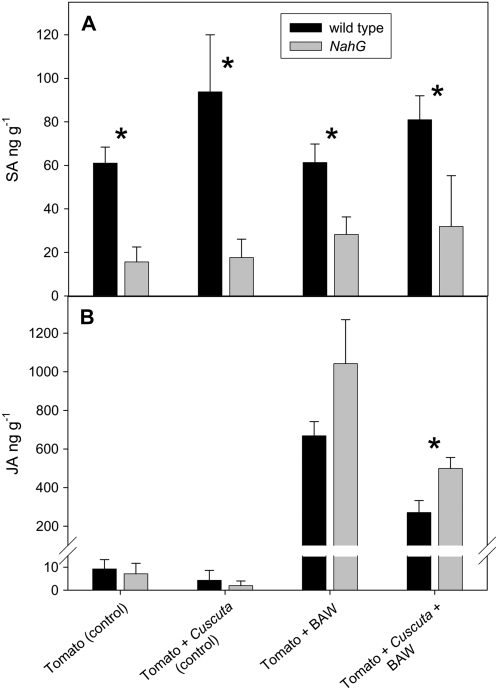 Figure 6.