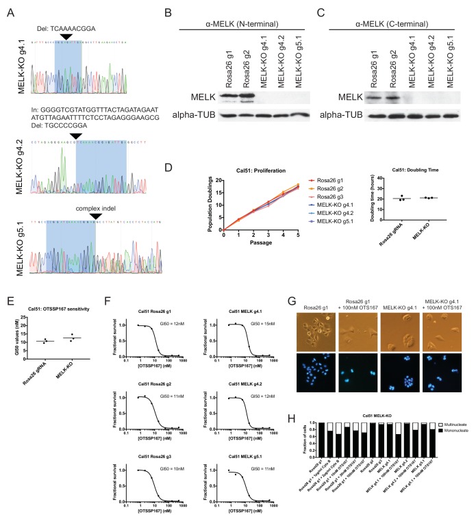 Figure 4—figure supplement 1.