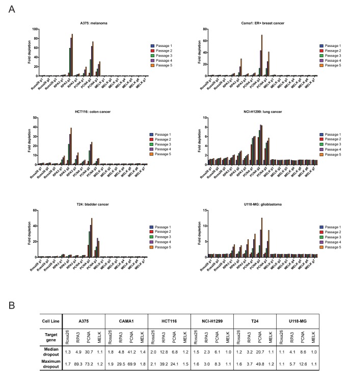 Figure 2—figure supplement 1.