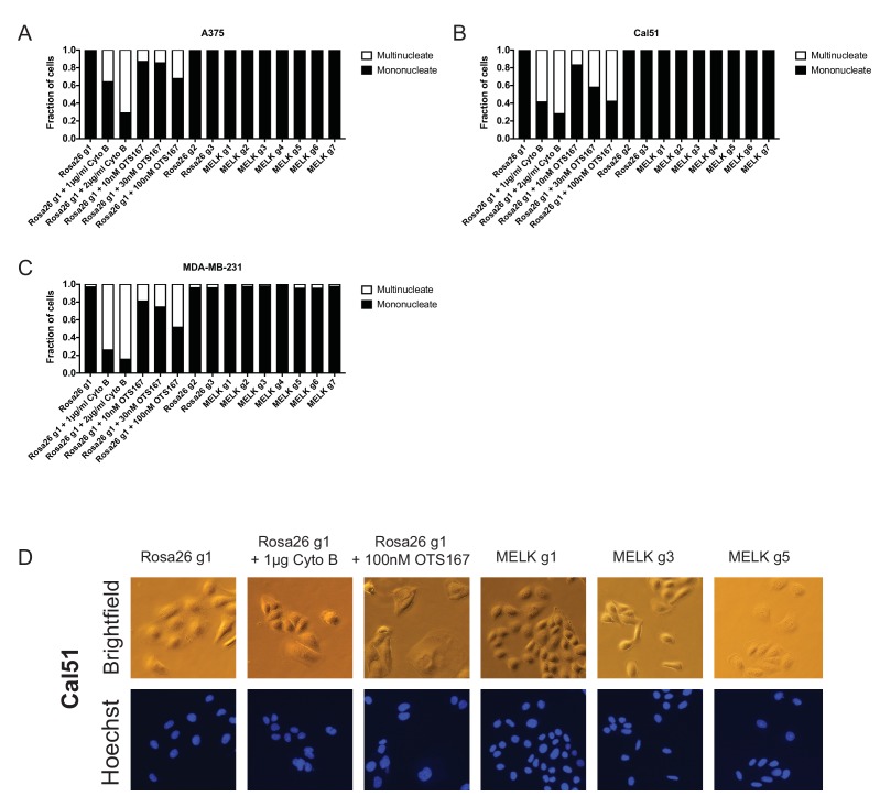 Figure 3—figure supplement 2.