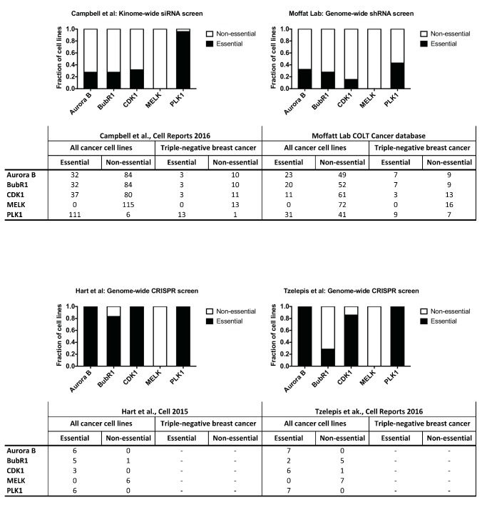 Figure 2—figure supplement 2.