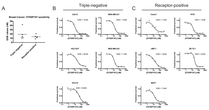 Figure 3—figure supplement 1.