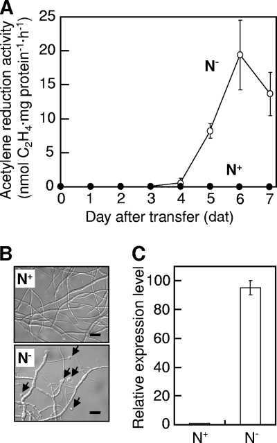 FIG. 1.