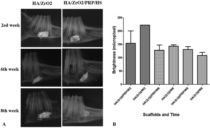 Figure3