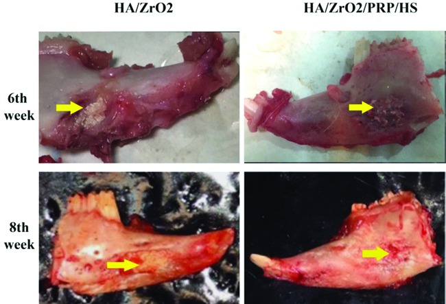 Figure3