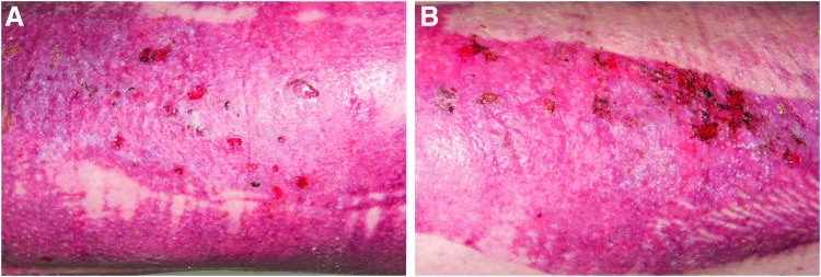 Figure 5.