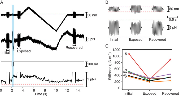 Fig. 3.