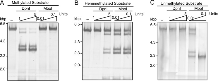 FIGURE 9.