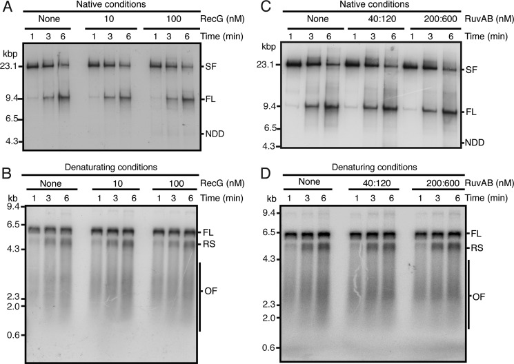 FIGURE 2.