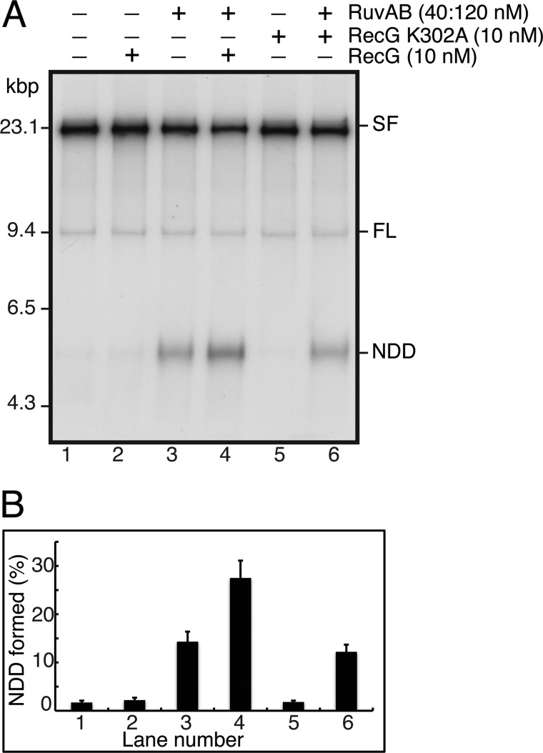 FIGURE 11.