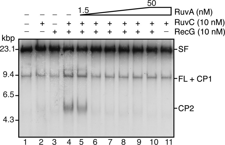 FIGURE 6.