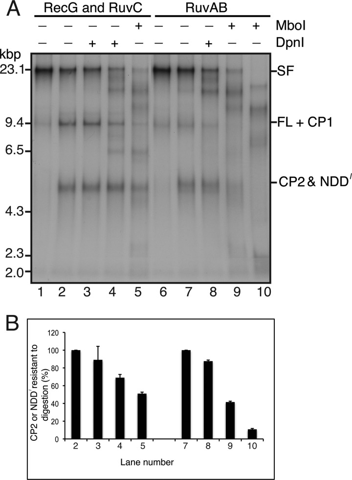 FIGURE 10.