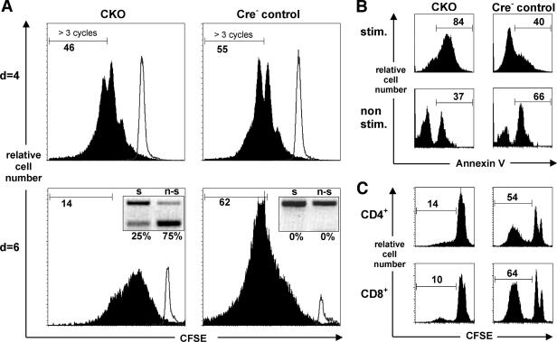 FIG. 6.