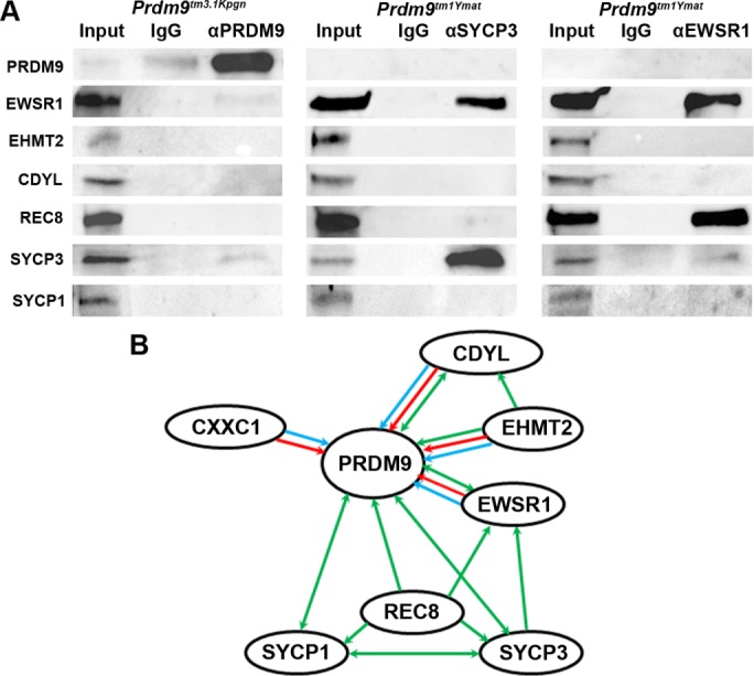 FIGURE 4: