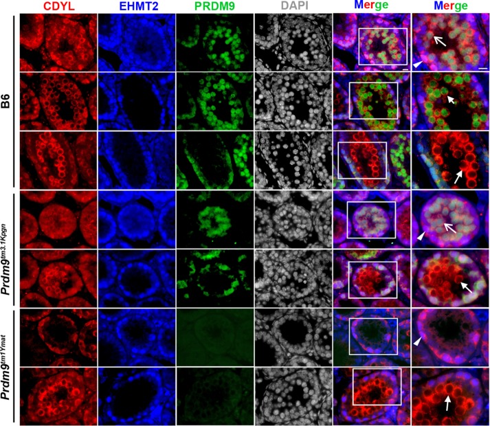 FIGURE 6: