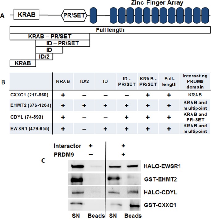 FIGURE 1: