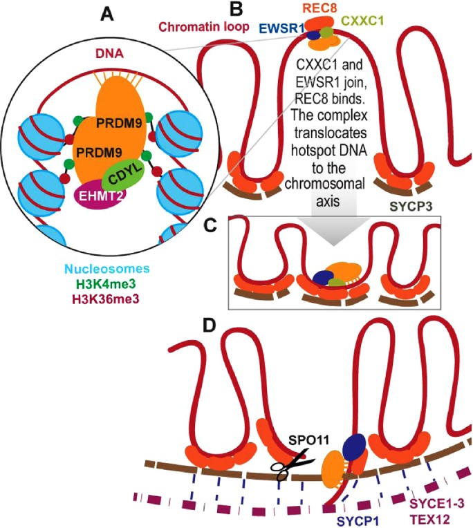 FIGURE 9: