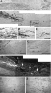 Fig. 10.