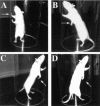 Fig. 14.