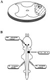 Fig. 2.