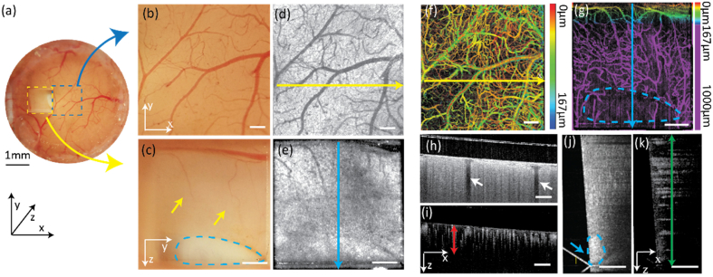 Fig. 3.