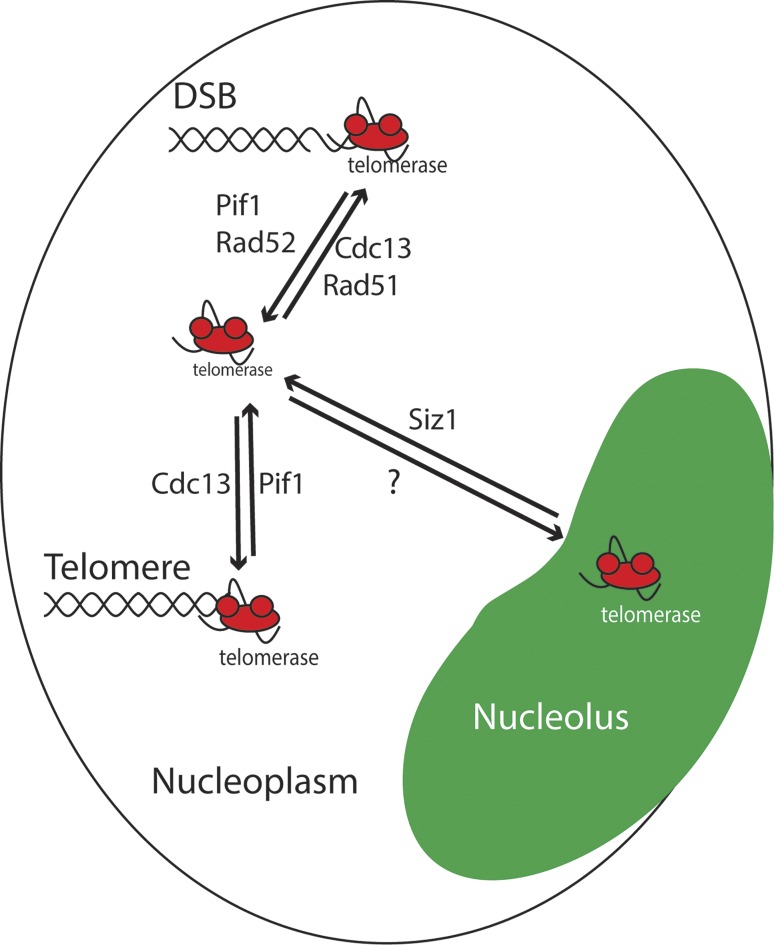 Figure 10.