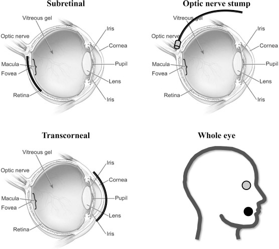 Figure 3.