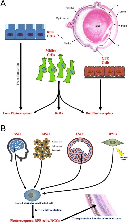 Figure 2.