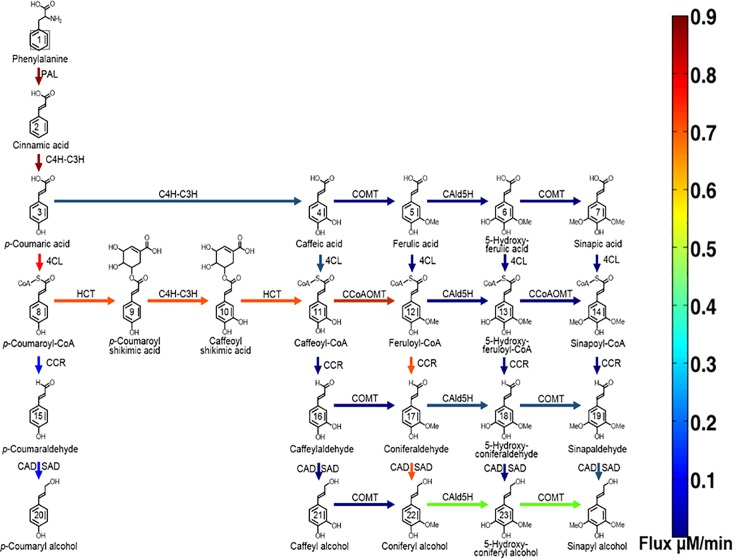 Fig 2