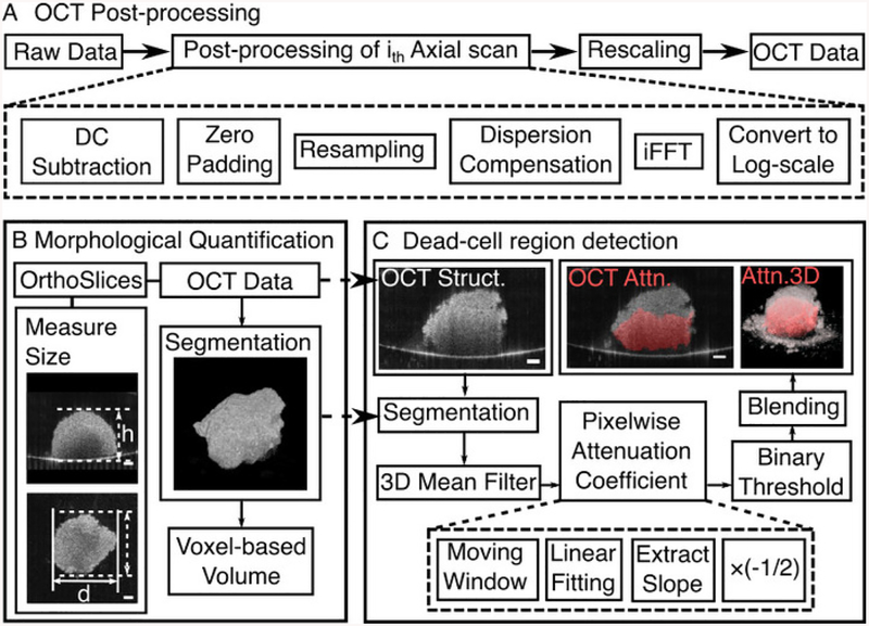 Figure 2: