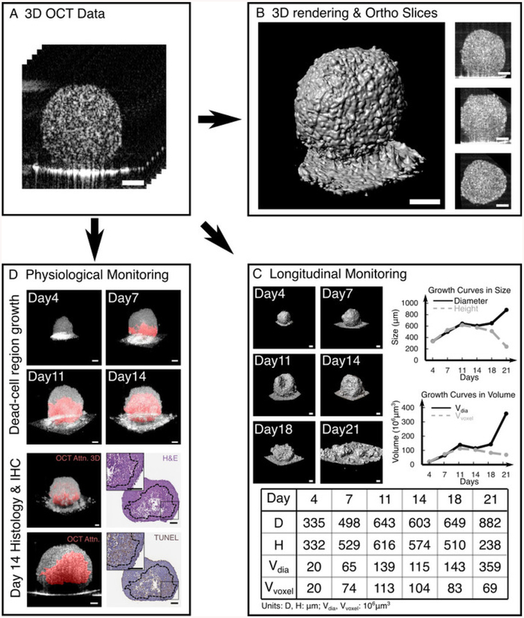 Figure 4: