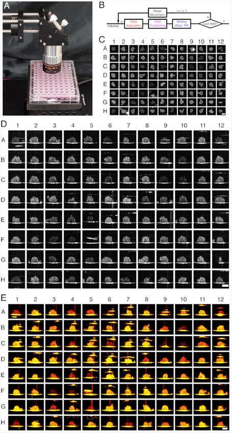 Figure 3: