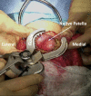 Fig 8