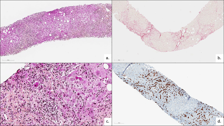 Fig 1: