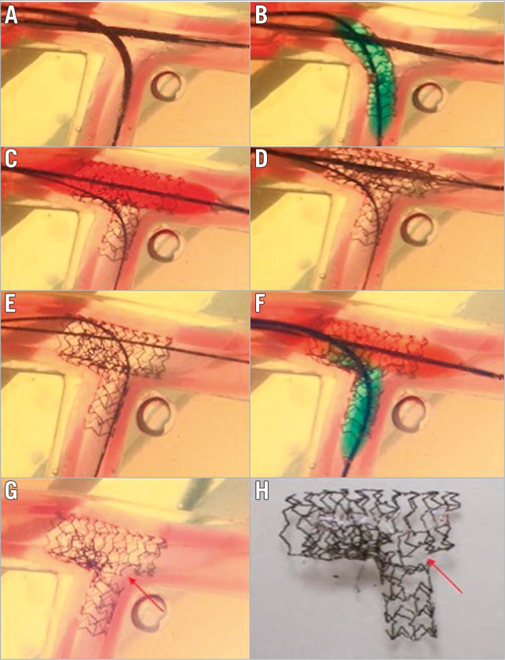 Figure 10.