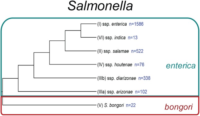 FIGURE 1